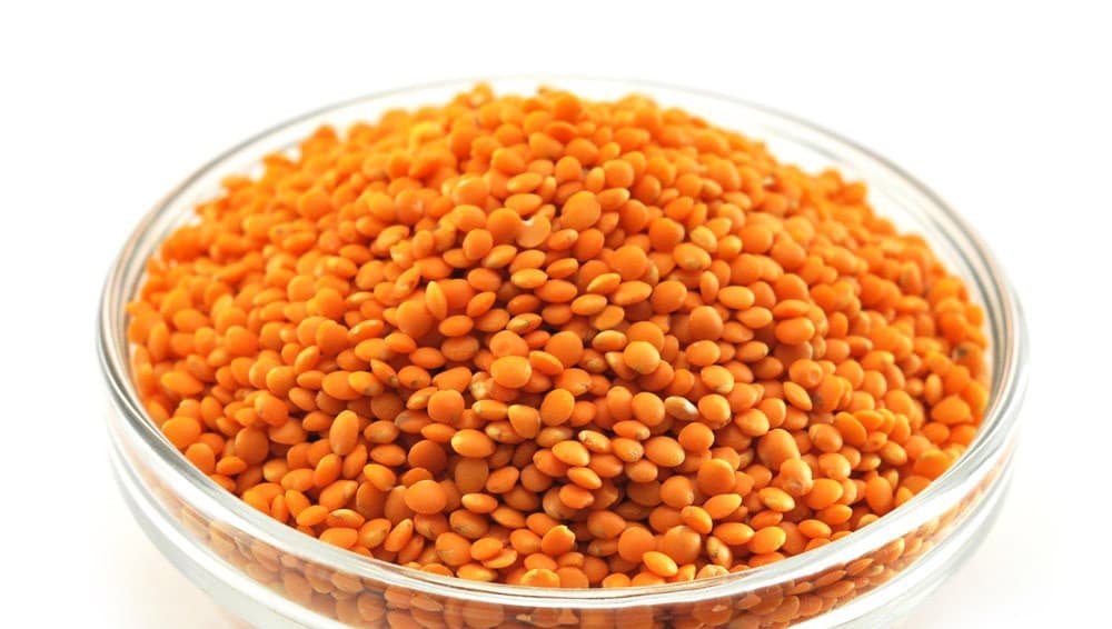 CHECHEVITCA KG